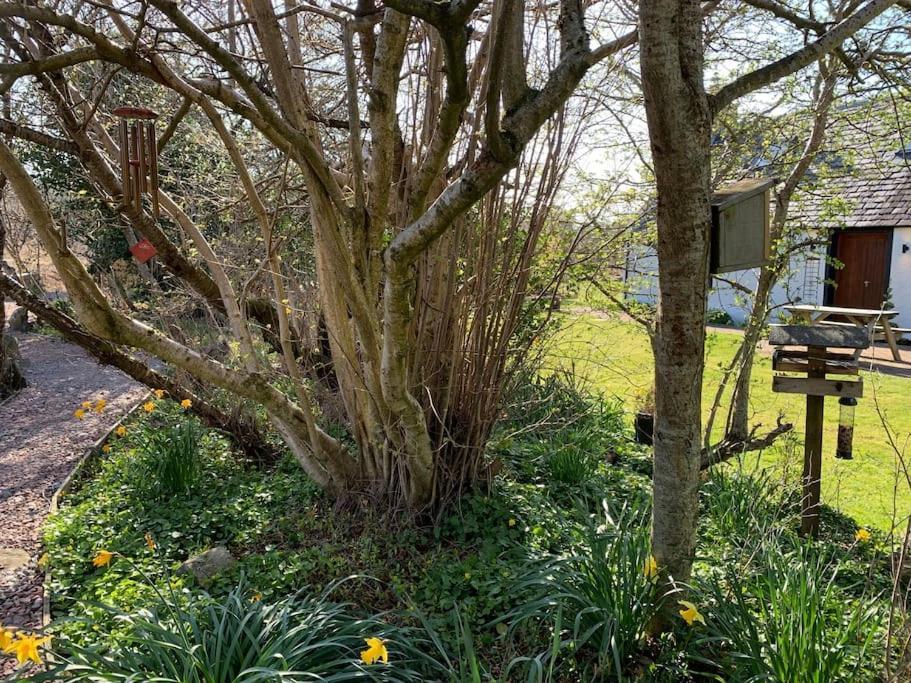 Cosy & Rustic Retreat - Woodland Cottage. Nairn Exterior foto