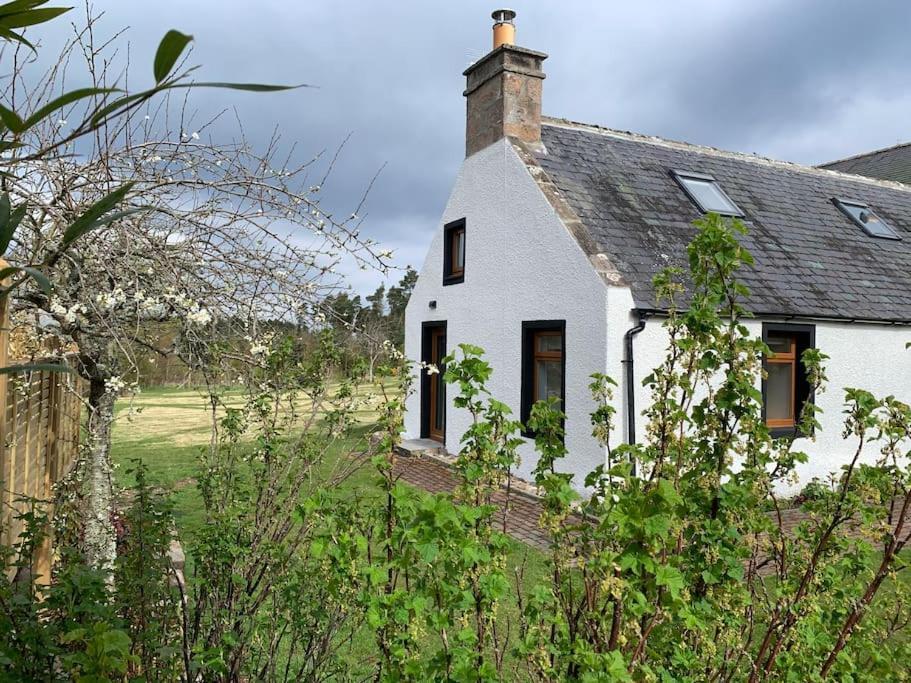 Cosy & Rustic Retreat - Woodland Cottage. Nairn Exterior foto